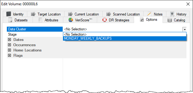 lite_data_clusters_single_volume.png