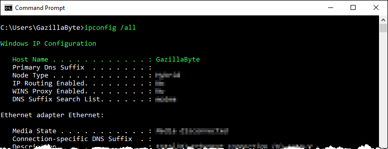 ipconfig_host_name.png