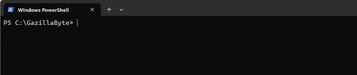 powershell_window.png